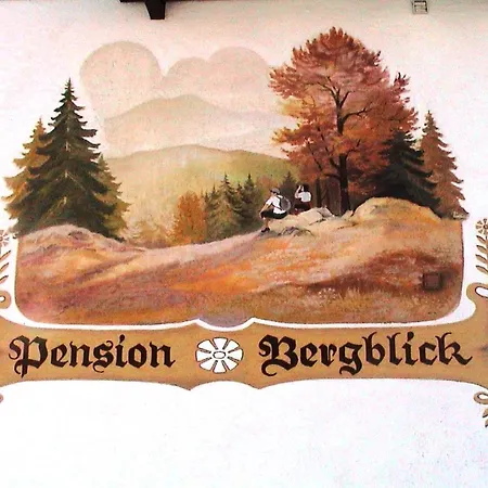 Penzion Bergblick 3*